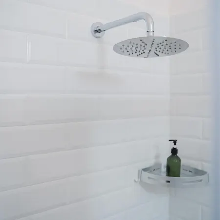 Lotus & Rooftop By Colibri